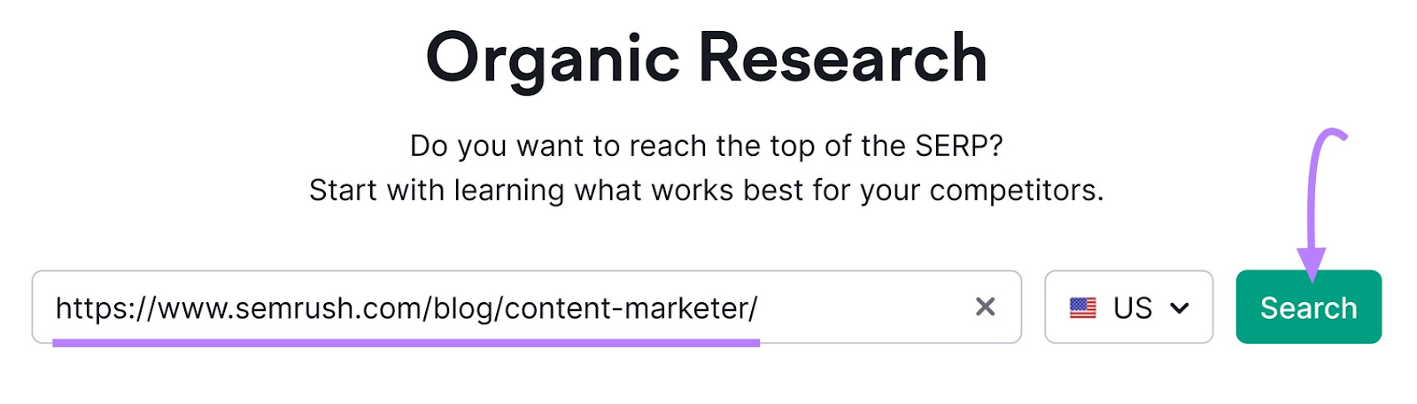 Organic Rankings tool search bar
