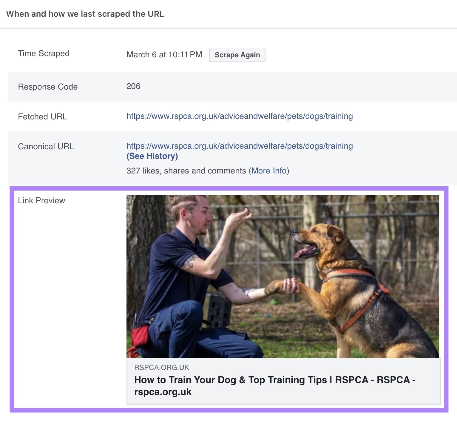 Link preview section on Meta's Sharing Debugger tool showing how a post with a link will appear on Facebook.