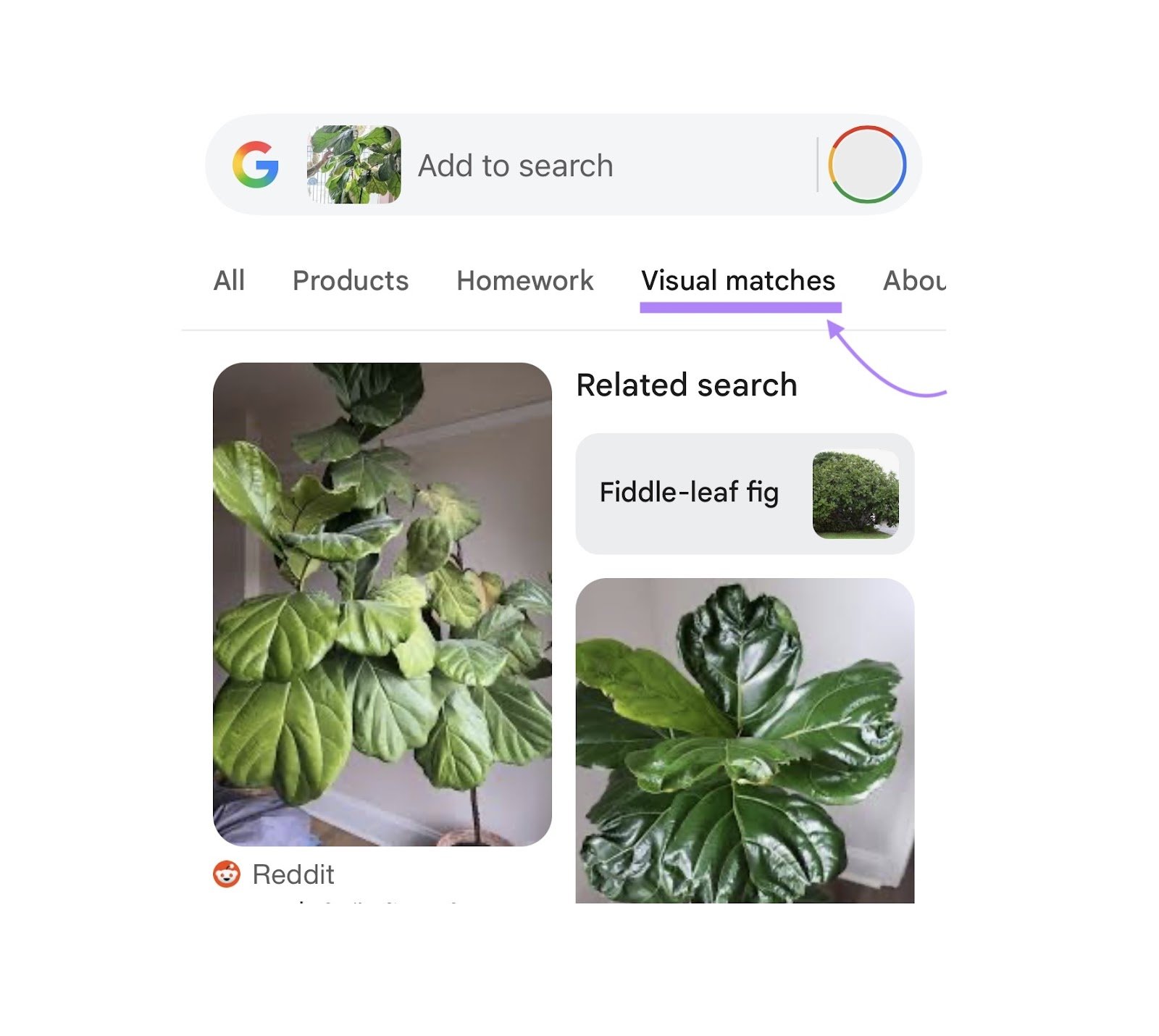 Google SERP with an image in the search bar and the "Visual matches" tab clicked.