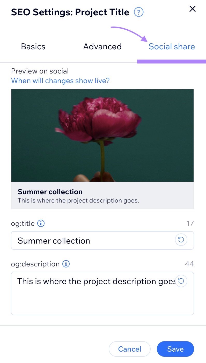 Social share tab on Wix showing a preview of the post along with options to customize the title and description.