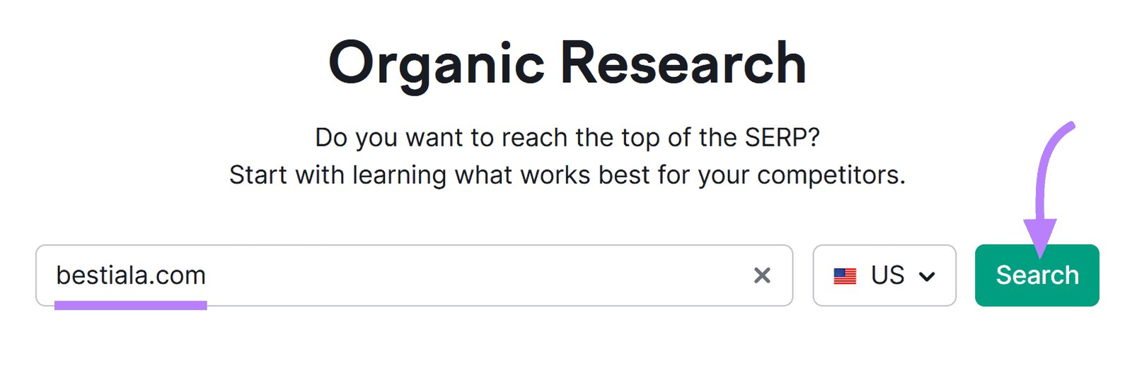 "bestiala.com" entered into the Organic Rankings search bar