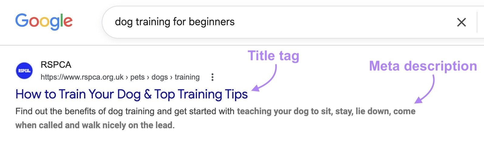 A SERP listing for the term "dog training for beginners" with the title tag and meta description highlighted.