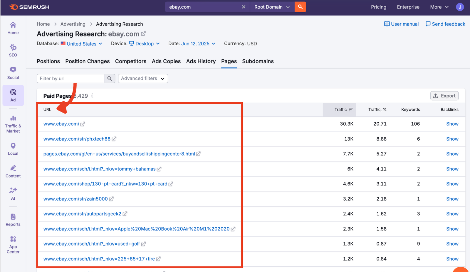 Paid landing page URLs listed in the Pages report.