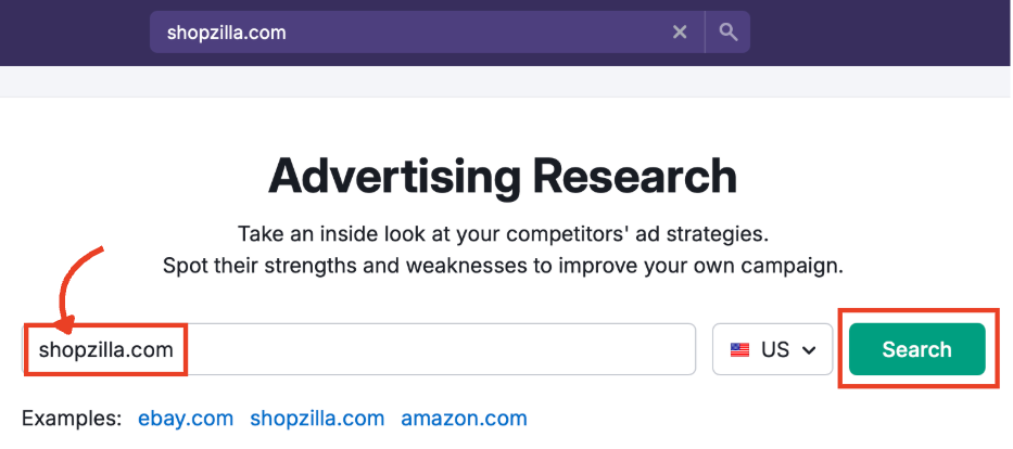 Advertising Research search bar with a domain entered.