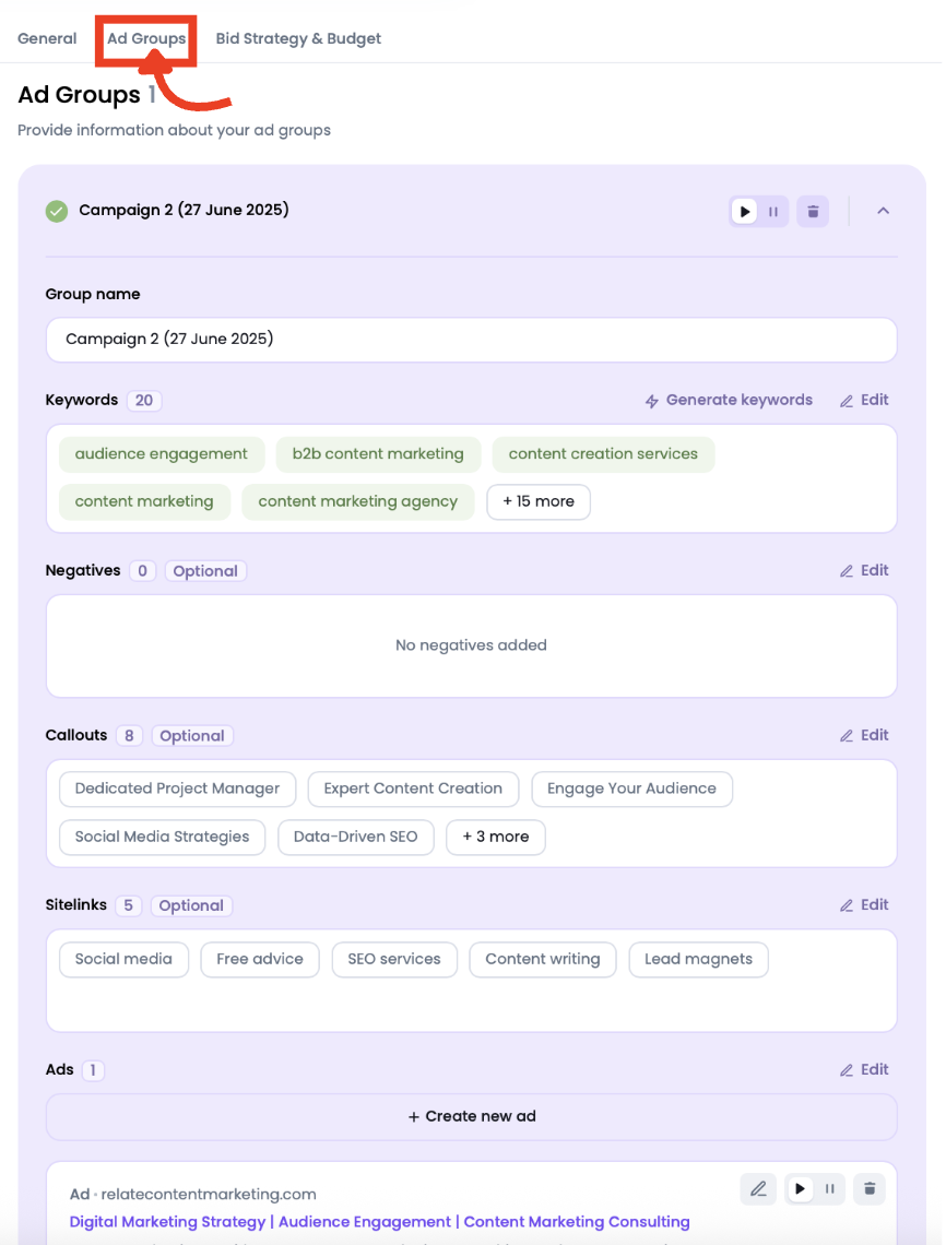 Ad Groups tab in Ads Launch Assistant&rsquo;s advanced Google campaign options.