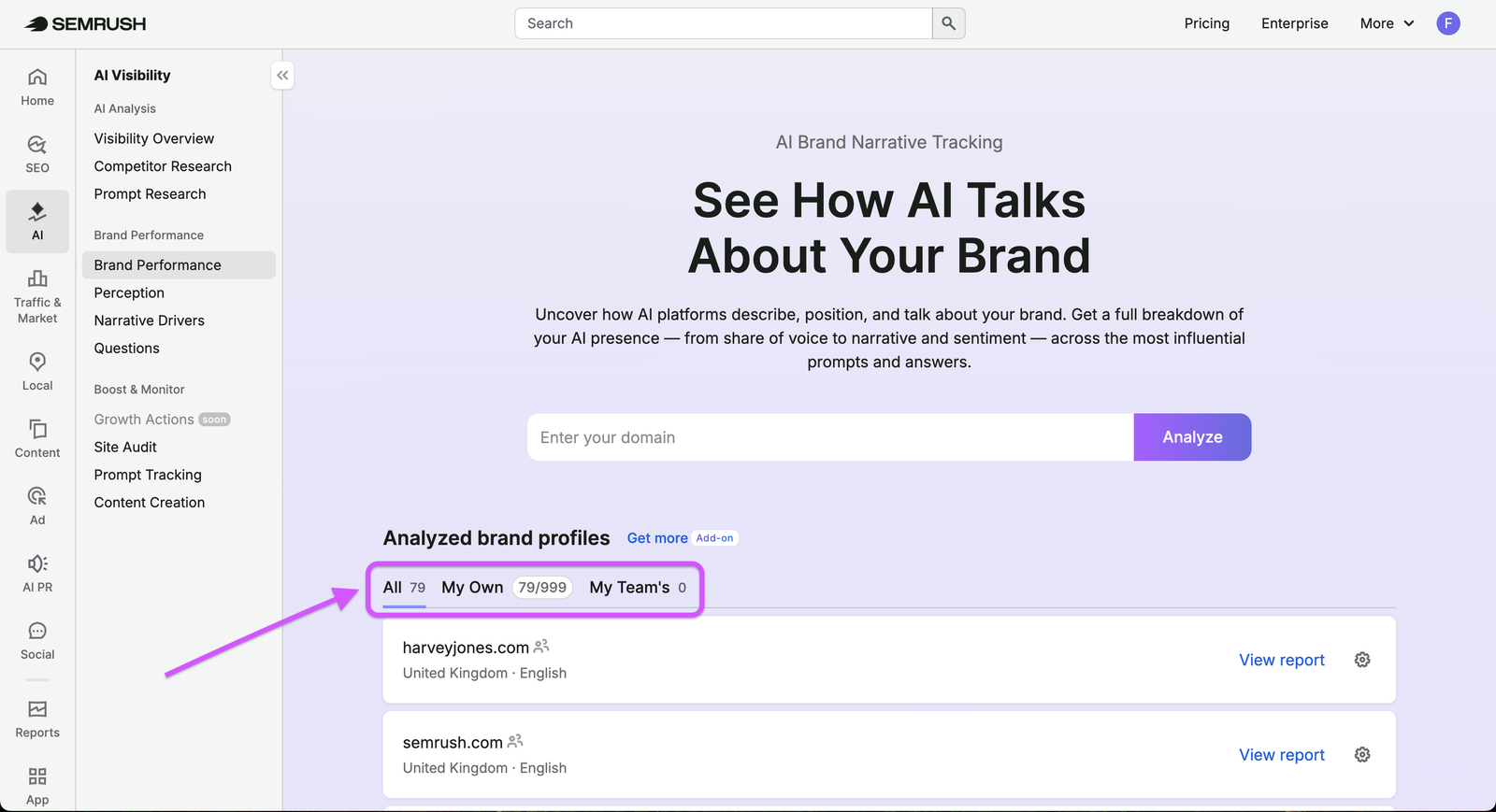 Brand Performance Reports image 17